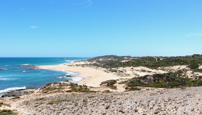  Beachport